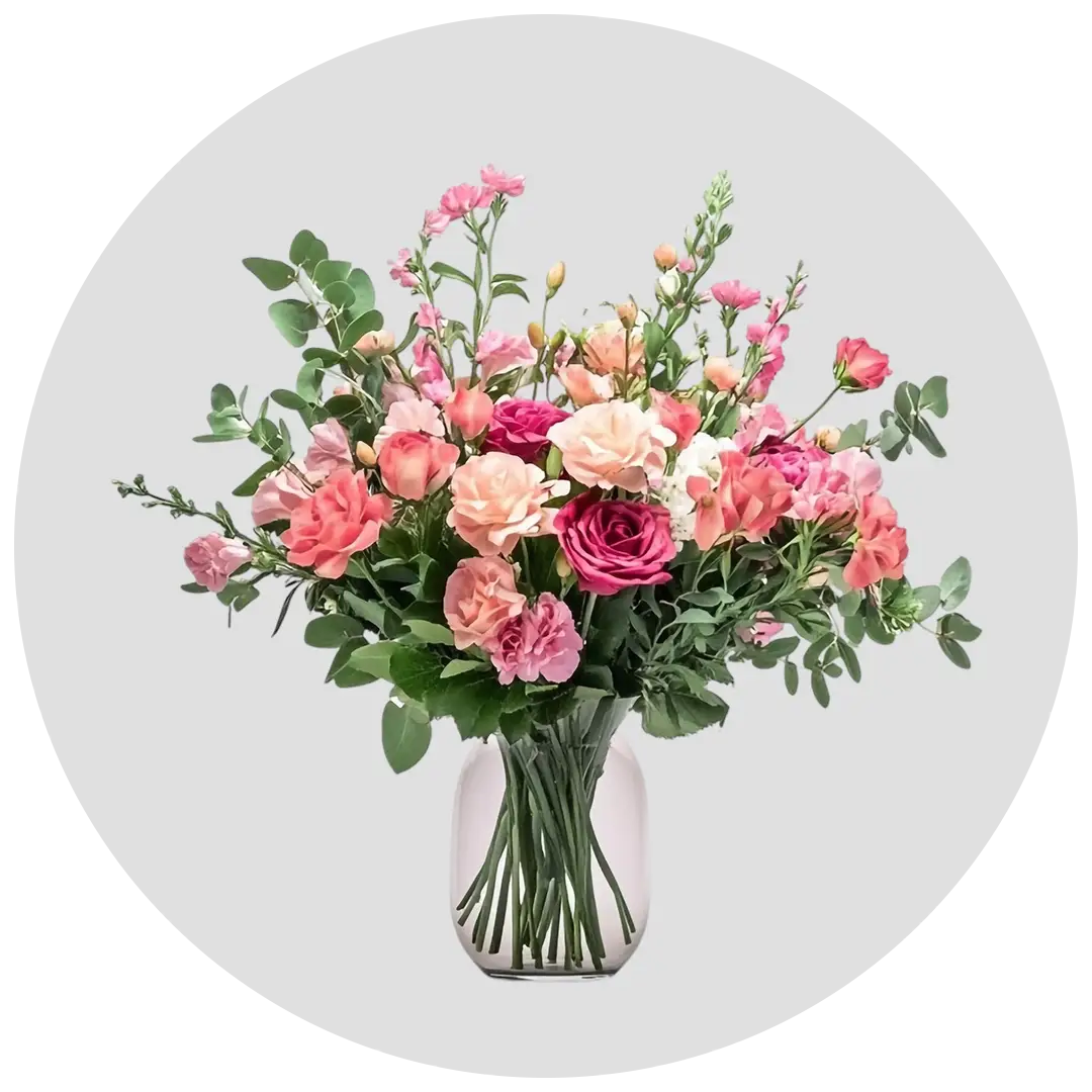 ‫گل‬‫ و‬ ‫گیاه‬