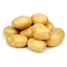 سیب زمینی
