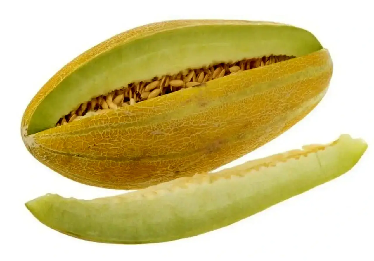 خربزه