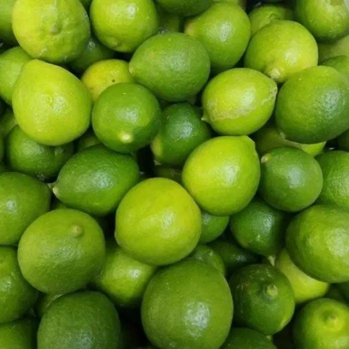 لیمو ترش عمانی درجه یک