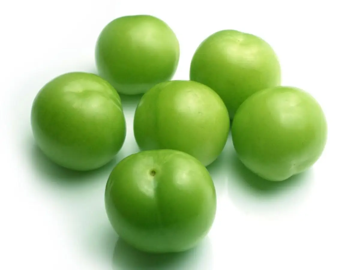 گوجه سبز ( آلچا )