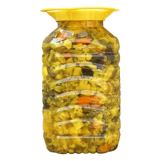 ترشی خانگی اعلا