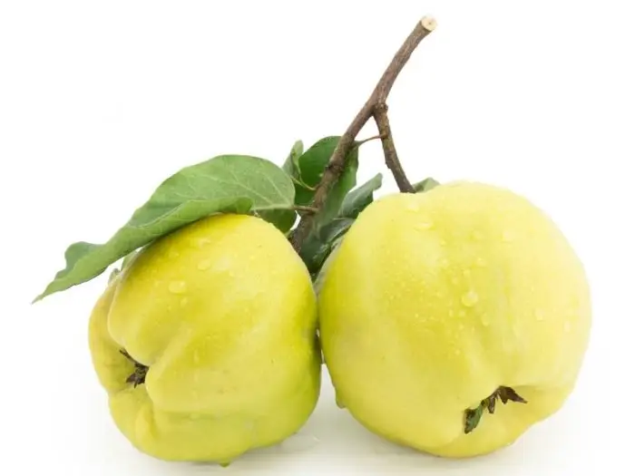 هیوا