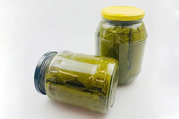 برگ انگور کشمش