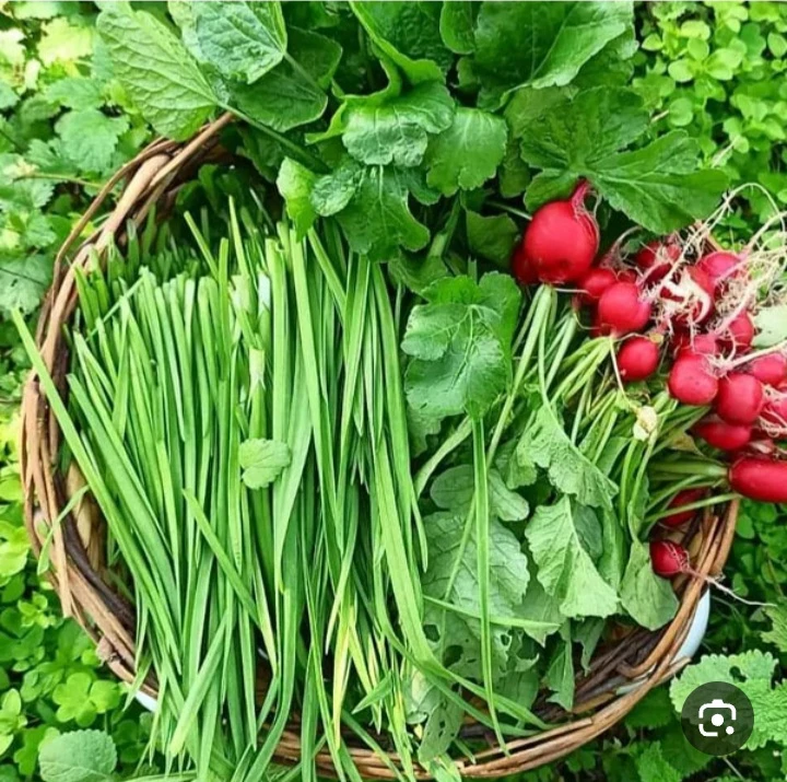 سبزی خوردن 1 کیلوگرم