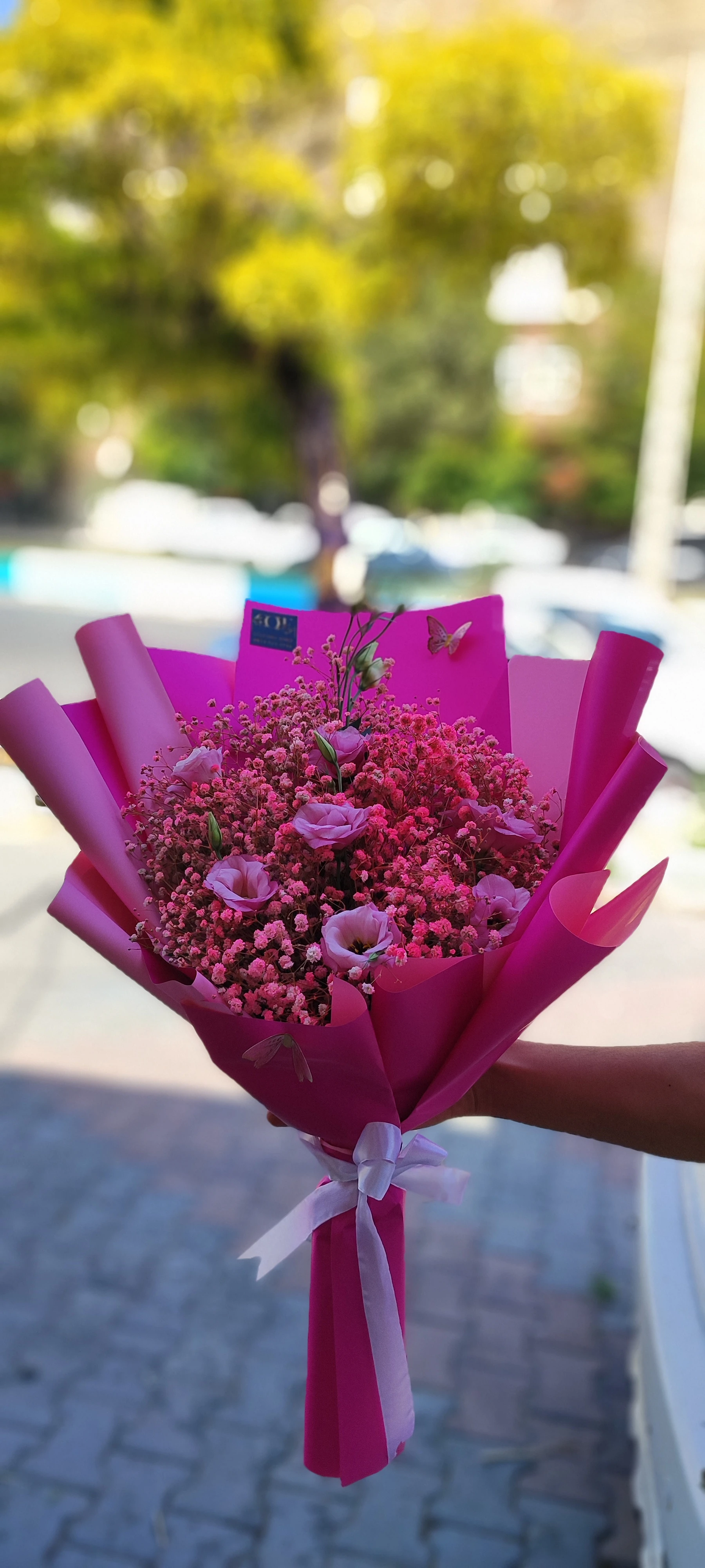 بوکت مینیمال