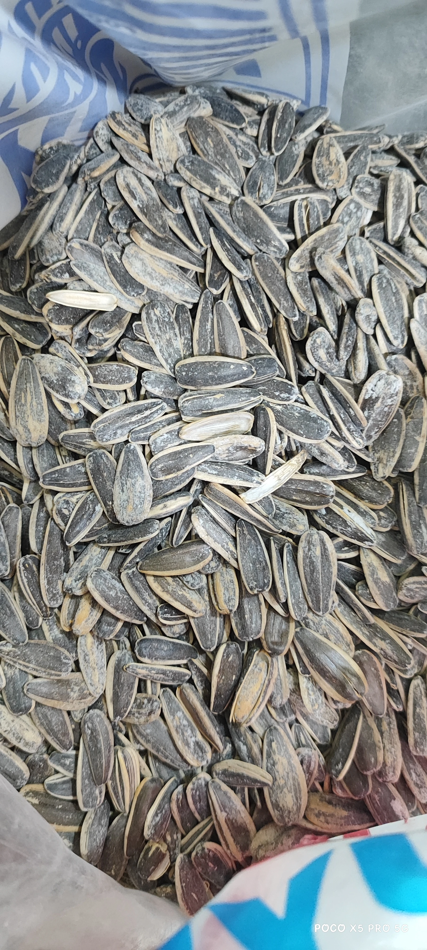 تخمه آفتابگردان درجه 1