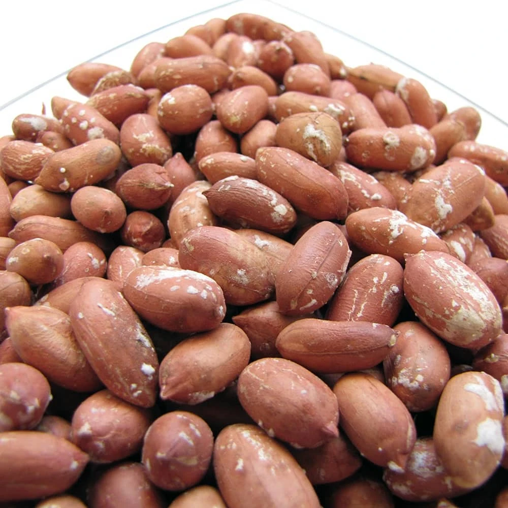 بادام زمینی